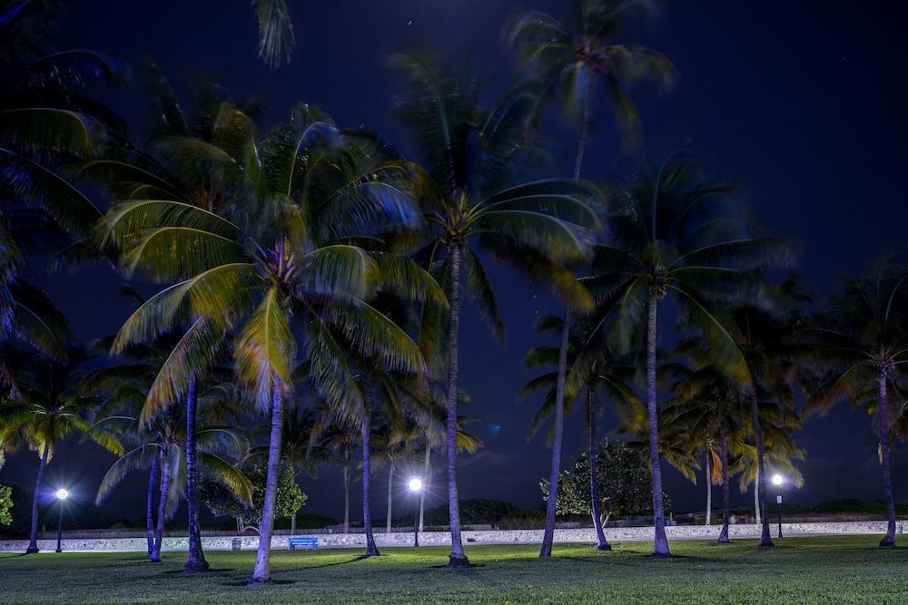 Hilton Vacation Club Crescent On South Beach Miami Miami Beach Eksteriør bilde